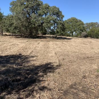 Natural Texas - Mowed down our tall grass. We will have them come back to do this a few times a year. - Landscaping Near Me - Austin, Texas