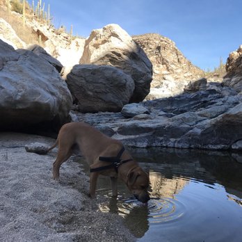 Tanque Verde Falls Trail - Hiking Near Me - Tucson, Arizona