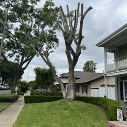 L&P Tree Service