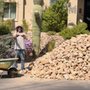 Carrillo Junk Removal