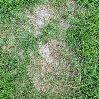Calandra & Sons Construction - a patch in the grass - Flooring Near Me - Ira Township, Michigan