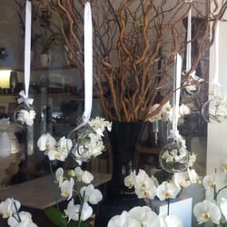 Blooms