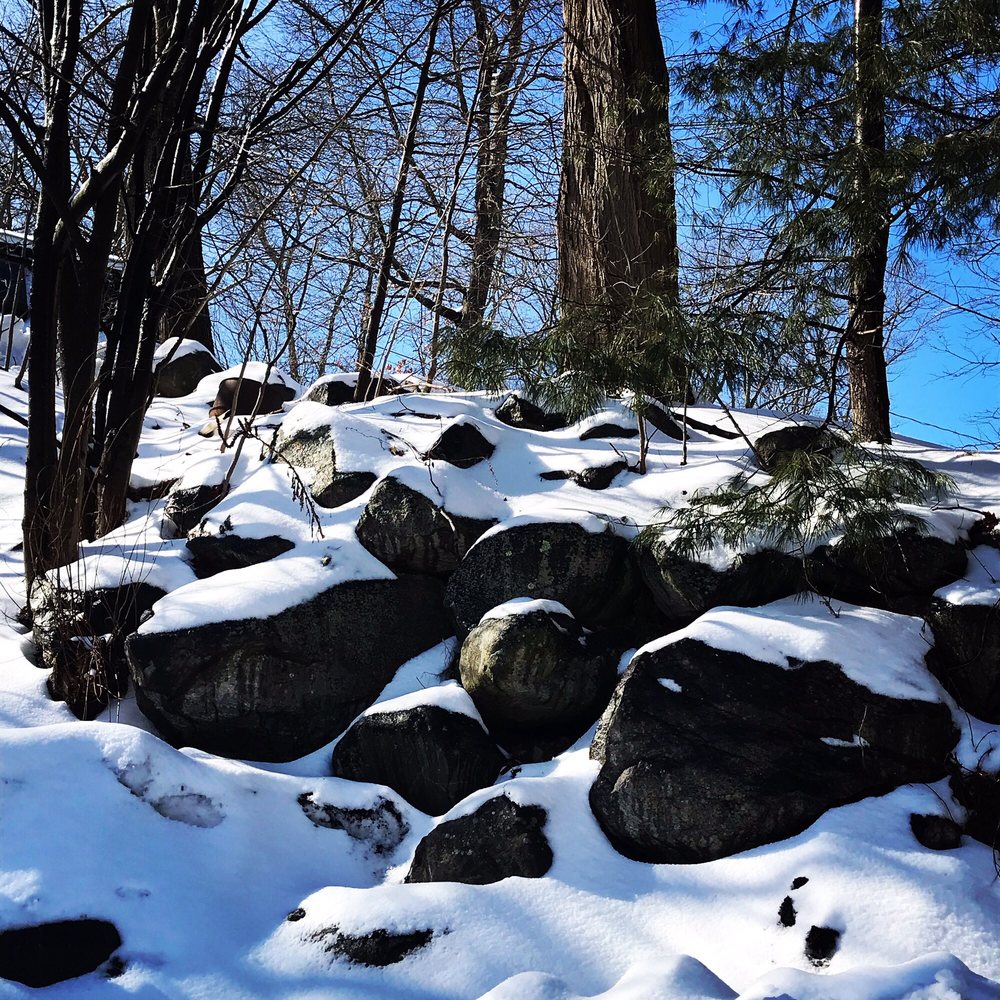 ACUPUNCTURE & WELLNESS CLINIC Updated August 2024 1 Mountain Rd