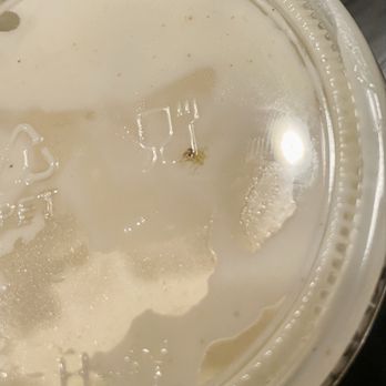 China City - A bug in white sauce - Chinese Near Me - Summerville, South Carolina China City - A bug in white sauce - Chinese Near Me - Summerville, South Carolina