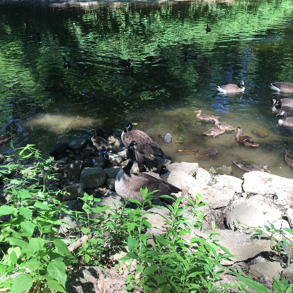 Pennypack Park - Parks Near Me - Philadelphia, Pennsylvania Pennypack Park - Parks Near Me - Philadelphia, Pennsylvania