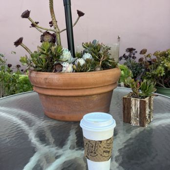 Weaver's Coffee & Tea - Coffee & Tea Near Me - San Rafael, California