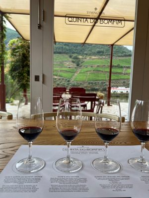 Quinta do Bomfim by null