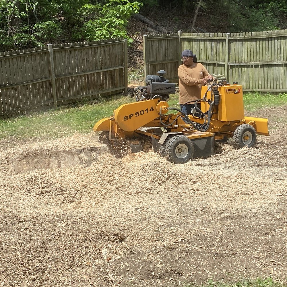 Javier Pro Tree Service - Javier doing the stump grinding - Tree Services Near Me - Culpeper, Virginia