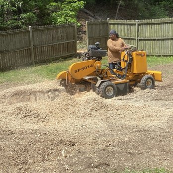 Javier Pro Tree Service - Javier doing the stump grinding - Tree Services Near Me - Culpeper, Virginia Javier Pro Tree Service - Javier doing the stump grinding - Tree Services Near Me - Culpeper, Virginia