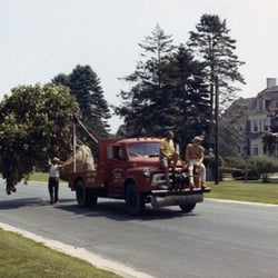 Whitmores Landscaping - Whitmores 1970's