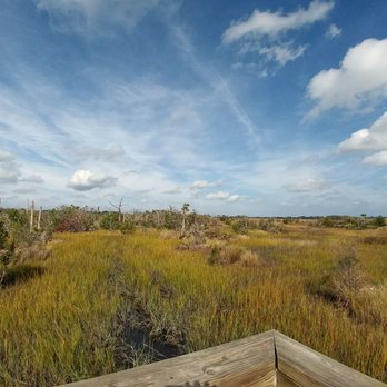 Castaway Island Preserve - Take the wooden walkway to find a peaceful spot! - Hiking Near Me - Jacksonville, Florida Castaway Island Preserve - Take the wooden walkway to find a peaceful spot! - Hiking Near Me - Jacksonville, Florida