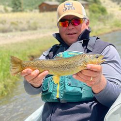 Wolf Creek Anglers