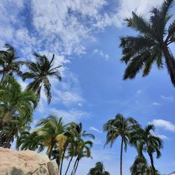Hilton Rose Hall Resort and Spa