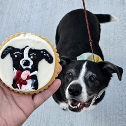 Custom cookies were adorable.