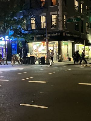 Hamptons Food Market by null