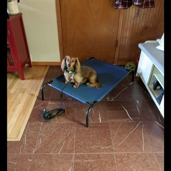 Best Paw 4ward Training - Little Luck working on place to help his barking - Pet Training Near Me Best Paw 4ward Training - Little Luck working on place to help his barking - Pet Training Near Me
