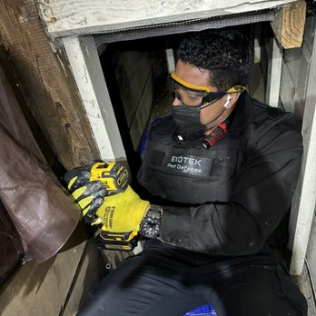 Exotek Pest Defense - We provide Rodent Exclusion services - Pest Control Near Me Exotek Pest Defense - We provide Rodent Exclusion services - Pest Control Near Me