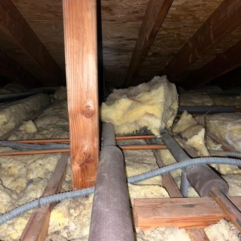 The Attic Cats - Before - Pest Control Near Me - San Fernando Valley, California The Attic Cats - Before - Pest Control Near Me - San Fernando Valley, California