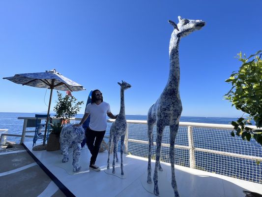 Restaurant Il Riccio by null