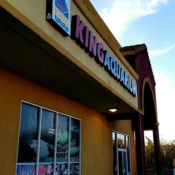 King Aquarium - Pet Stores Near Me - San Jose, California
