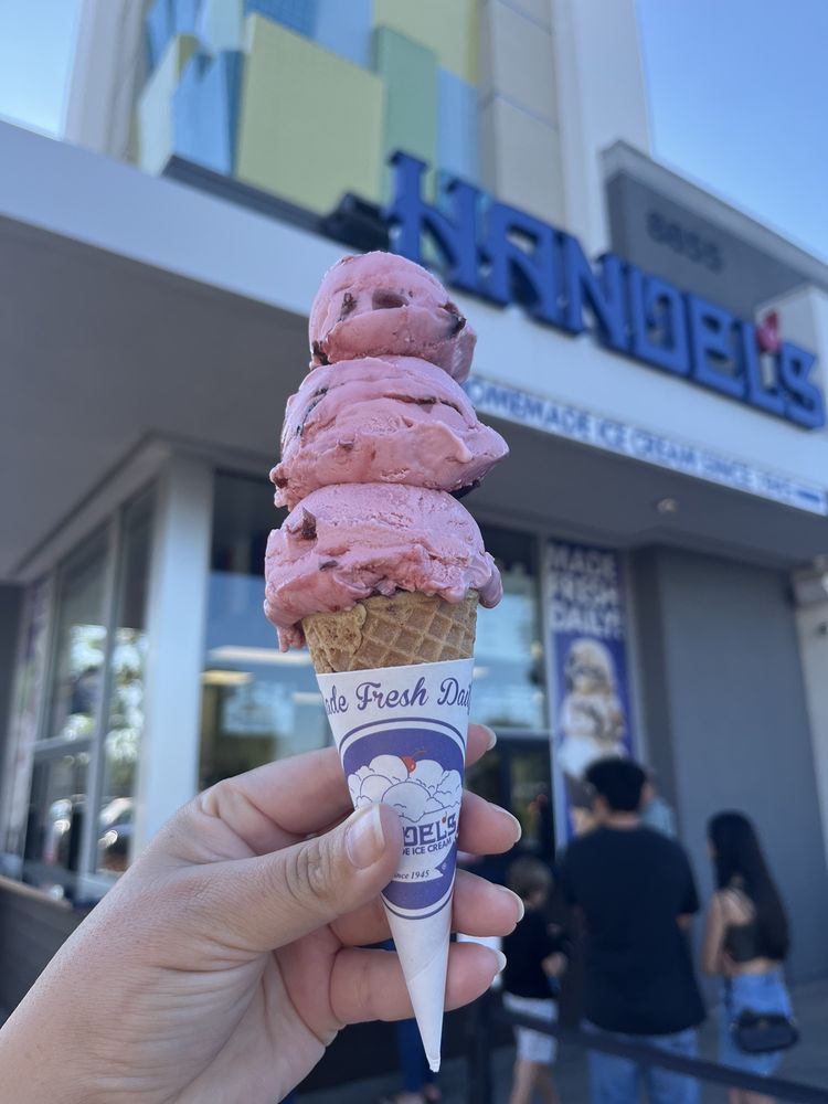 HANDEL’S HOMEMADE ICE CREAM DOWNEY 76 Photos & 84 Reviews 8855