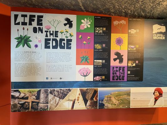 Cliffs of Moher Experience by null