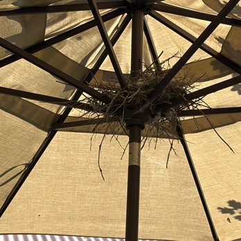 BridgeTender Tavern - Birds nest, nature friendly environment - Bars Near Me - Tahoe City, California