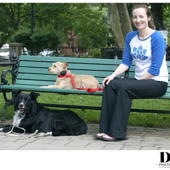 Good Karma Dog Training - Pet Training Near Me Good Karma Dog Training - Pet Training Near Me