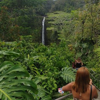 Akaka Falls State Park - Parks Near Me - Honomu, Hawaii