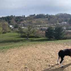 Arko Dog Park