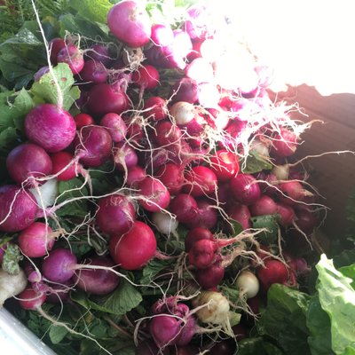 Finca Tres Robles by null