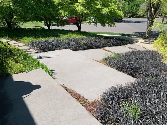 Top Tier Cleaning Service