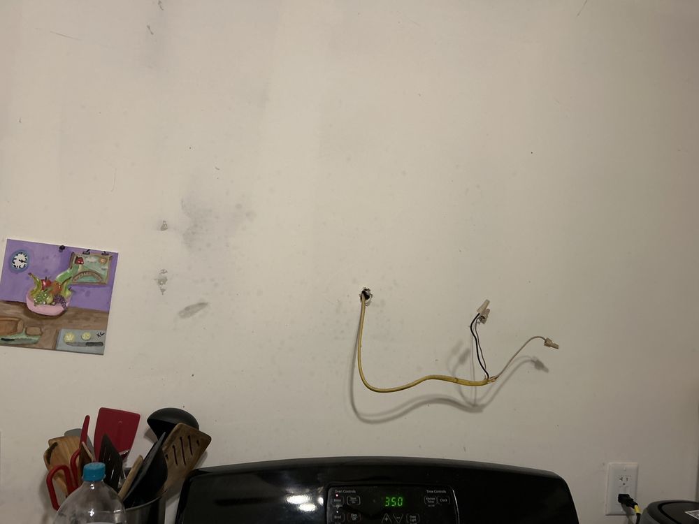 Slide of Mammoth Restoration Arizona