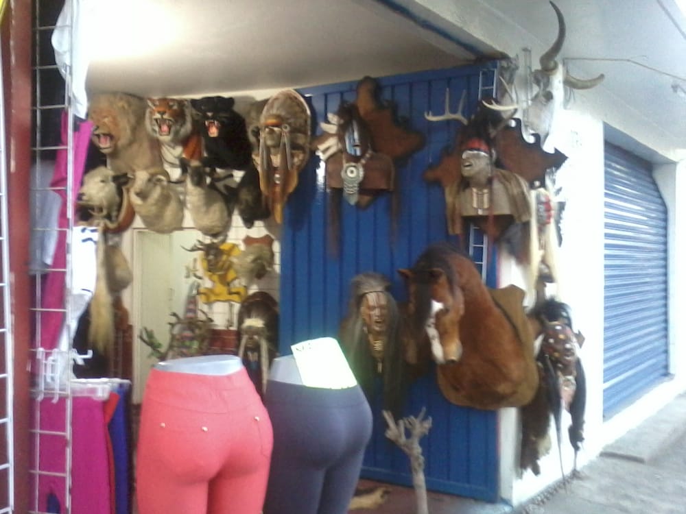 Tienda de decoración y ropa Porfirio Díaz