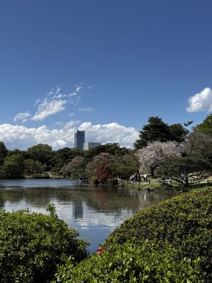 Shinjuku Gyoen National Garden by null