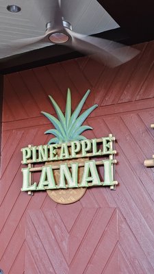 Pineapple Lanai by null