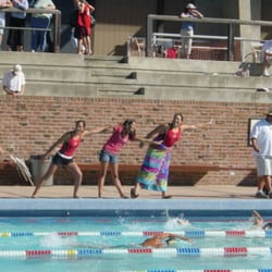 Los Altos & Mountain View Aquatic Club - Reach!
