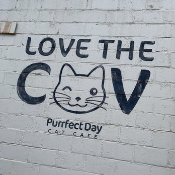 Purrfect Day Cat Cafe - Pet Adoption Near Me - Covington, Kentucky Purrfect Day Cat Cafe - Pet Adoption Near Me - Covington, Kentucky