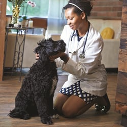 Annotto Bay Veterinary Clinic - Wilson with Dr. Allen