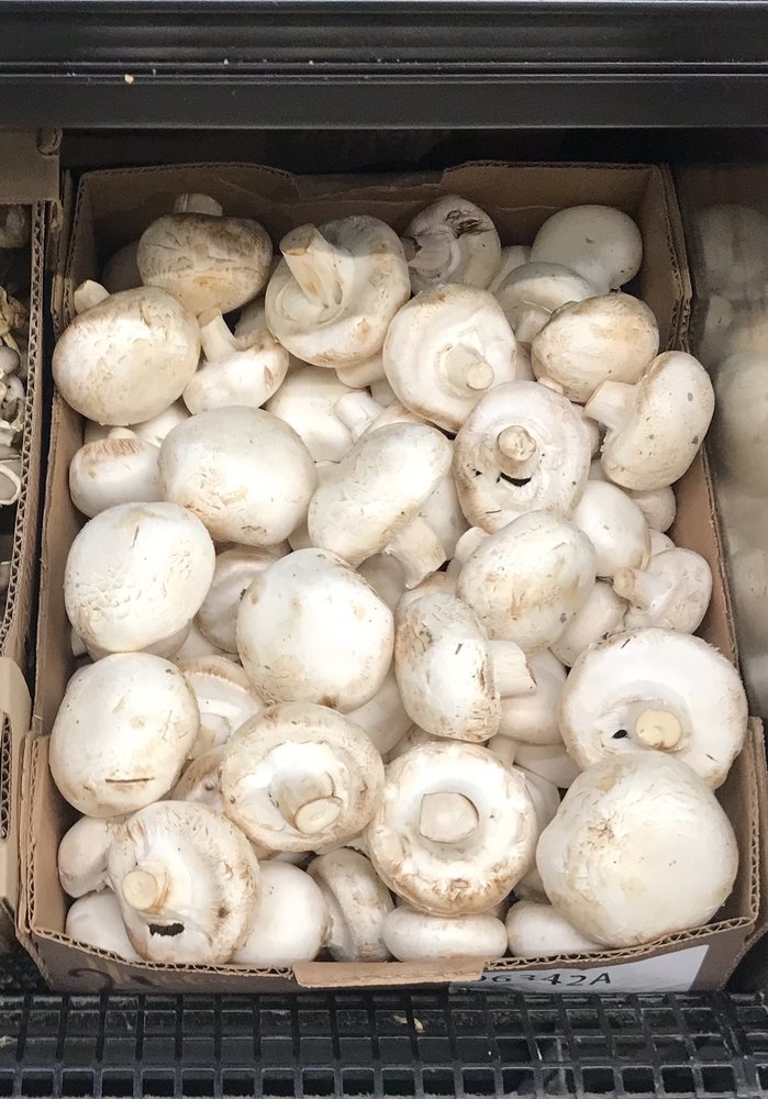 HIGHLINE MUSHROOMS Updated August 2024 506 Mersea Road 5