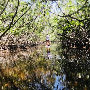 Paddle The Florida Keys - Rafting/Kayaking Near Me - Tavernier, Florida Paddle The Florida Keys - Rafting/Kayaking Near Me - Tavernier, Florida