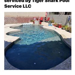 Tiger Shark Pool Service - Completed Service Picture