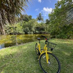 Miami EcoAdventures