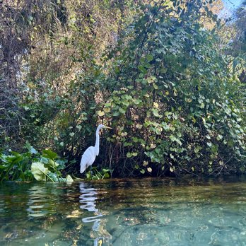 King's Landing - Rafting/Kayaking Near Me - Apopka, Florida