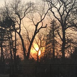 Brookdale Dog Park