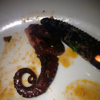Non Solo Pasta - Pulpo - Italian Near Me - Morrisville, Pennsylvania