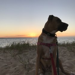 Cola Vaughan Realty - Wonderful sunsets at Jockey Ridge, while staying at our Cola Vaughnn rental