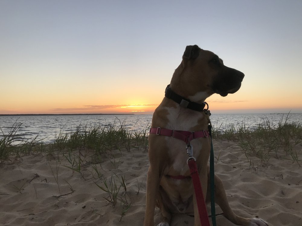 COLA VAUGHAN REALTY Updated July 2024 17 Photos & 11 Reviews Nags