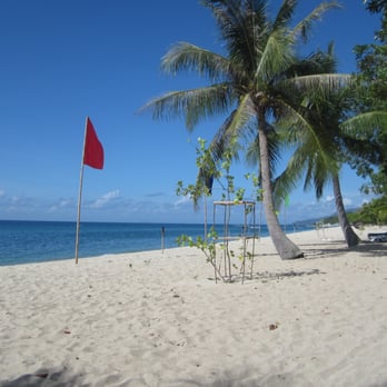 Virgin Beach Resort - Beaches Near Me - San Juan, BTG