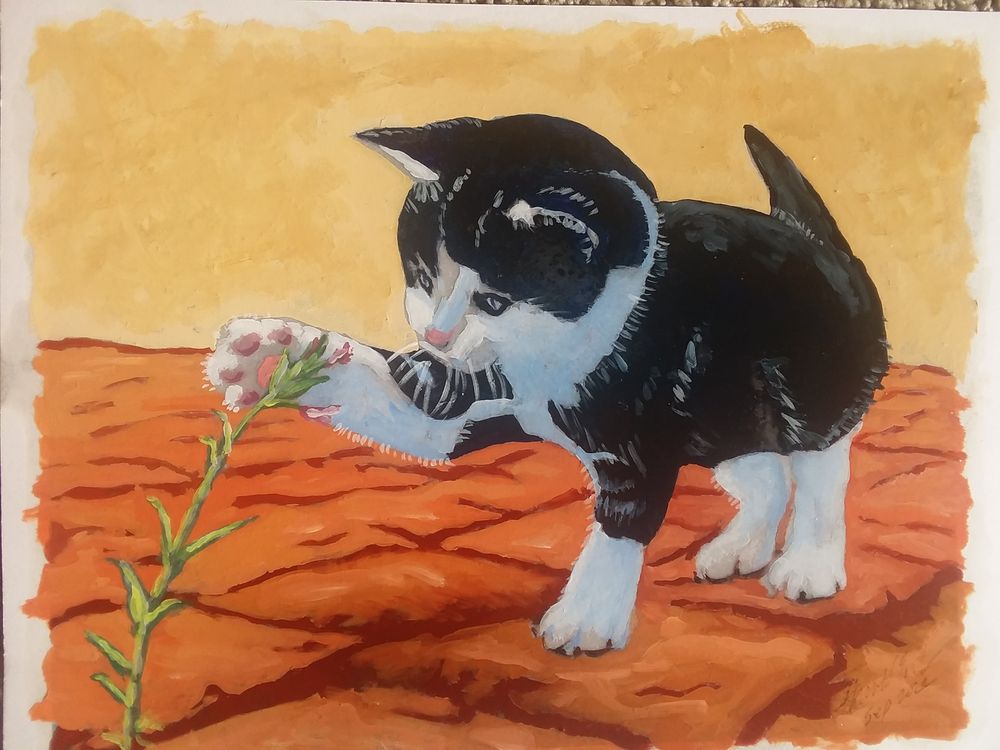 Nevada Quick Divorce - divorce attorney in Reno, NV